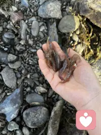 沒事多出去走走，把暫時不能解決的先放一邊……配圖