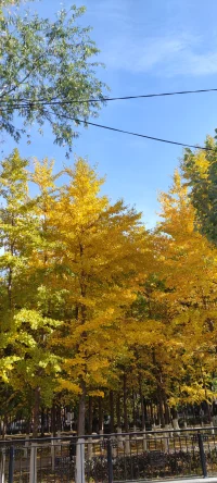 季节由浅变深
人生由深变浅