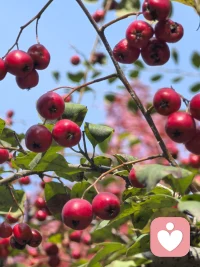 一定要懂得自愈！
因為好起來的，從來不是生活，而是你自己！不在爛人爛事上糾纏，不委曲求全，不消耗自己；當你的內心足夠強大，誰都沒有辦法影響你！這世間有太多的猝不及防，有些東西，根本不配占有你的情緒。人生匆匆，請一定過好自己！
