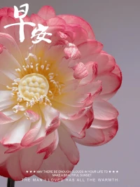 內在小孩是指每個人內心深處隱藏的那個孩子般的部分。
 
它具有以下特點：
 
1.?情感需求：包含未滿足的情感需求，如愛、關懷和接納。

2.?創傷記憶：可能承載著過去的創傷、痛苦或被壓抑的情緒。

3.?純真與脆弱：保留著天真、純真和脆弱的特質。

4.?內在直覺：具有直覺和本能的反應。
 
內在小孩對個人的影響包括：
 
1.?情緒反應：影響情緒狀態，如容易焦慮、恐懼或憤怒。

2.?人際關系：對人際關系產生影響，可能表現出依賴或不信任。

3.?自我認知：影響自我認知和自我價值感。

4.?行為模式：決定一些行為模式和應對方式。
 
療愈內在小孩的意義在于：
 
1.?心理健康：促進心理的健康和平衡。

2.?自我成長：幫助個人實現更好的自我成長和發展。

3.?情緒管理：提升情緒管理能力。

4.?人際關系改善：改善人際關系，增強親密感和信任。配圖
