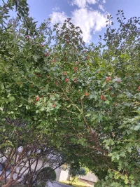 心理学小常识：边界感。它的意思是指对界限的判定和重视程度。当一个人欠缺边界感，他/她可能无意识地把自己的事托付他人，邀请他人跨入自己该有的界限，或把自己的意愿强加于人，强行跨入他人的边界。健康的个人边界是对自己的行为和情绪负责，而不是对别人的行为和情绪负责。有以下特质：清晰的、保护性的、坚固但灵活的、为自我建立的。这个道理就是“每个人都应该且仅应该对自己的人生负责”有句话是这样说的——远而不疏是种能力，近而不入是种智慧。每个人的边界感是健康的，那么夫妻关系，亲子关系，也会很顺畅。配图