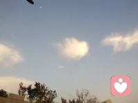 又是一天趕早日，知足中常樂，淡泊中進取。配圖