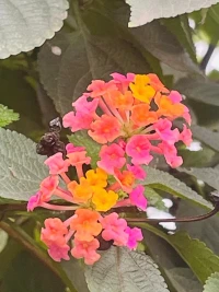 關系中，當一方?要想?通過一些技?花術?招去“拿捏”另一方?時的?候，已經“被拿捏”了。注?力意?在哪，心?被就?哪牽動，能?就量?流向哪，聰?人明?只控?自制?己。努力?高提?自身?養素?與能力，了?人解?性但不?人鉆?性漏洞?婪貪?執取，踏?安實?心地活著，如?足此?矣。不追求?么什?高段位，越?求追?離得越遠，同?相氣?求，高頻自?吸會?引高頻。配圖