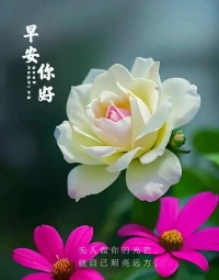 努力的意義，不在于讓你一定取得多大的成就，只是讓你在平凡的日子里，活得比原來那個自己更好！從不奢酒，卻懂得了烈酒后對生活真正的理解，最平凡的生活莫過于清晨的一杯粥，一切剛剛好，又何嘗不是最好的期待！親，周五早上好！[玫瑰][玫瑰][咖啡][咖啡]配圖