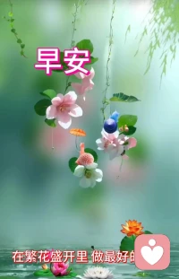 自由在風里，答案在路上，不荒廢好時光，不辜負好風景，內心始終有光，好運才會接踵而來。早安配圖