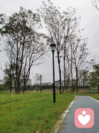 來日并不方長，珍惜當(dāng)下，即是美好。配圖