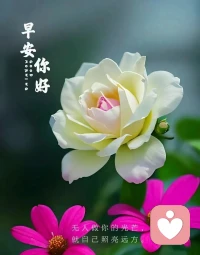 任何一個人，過的只是他現在的生活，而不是什么別的生活，最長的生命和最短的生命都是如此。對當時那種處境下的我來說，我沒有別的家了，我只有莫高窟這一個家。我能退到哪里去呢?如果是在繁華的都市，也許還可以找個地方去躲起來，可是我已經在一個荒無人煙的地方，還有哪里可以退，還有哪里可以躲呢?退到任何一個地方，都不如退入自己的心更為安全和可靠。
——《我心歸處是敦煌：樊錦詩自述》配圖