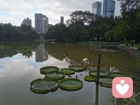 人在憤怒情緒下，會出現許多不理性語言。給雙方時間平靜，溝通才有好效果。配圖