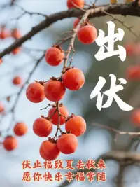 ??????
出伏至，秋意漸。
暑氣悄悄退去，清風慢慢登場。
'伏'走一身燥熱，'伏'來滿心舒爽。
把夏天的疲憊留在身后，
讓秋天的愜意住進心頭。
?出伏安康