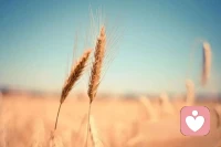 允許自己是一朵晚開(kāi)的花 ，保持自己的節(jié)奏 、篤定堅(jiān)持 、持續(xù)不斷 。你終會(huì)和美好相遇 。
?成長(zhǎng)是一個(gè)過(guò)程........配圖