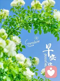 有人撑伞是幸运,雨中独行是成长。
时间从不会亏待努力生长的你,
踏实地走,慢慢地赢,
生活这场戏,你永远是主演!