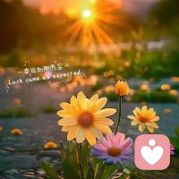 🌹🌹🌹

永远不要让你的筹码，

只剩下老实和善良，

大家都喜欢老实人，

却不会尊重老实人。配图