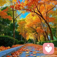  “长大”没有偏旁，“自由”却有围墙。

我们在无依无靠里学会坚强，

在条条框框里守护热爱与坦荡，

那些看似孤独的脚步，实则

都在把向往活成想要的模样。配图