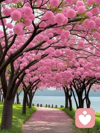 没有真正快乐的人，

只有比较想开的人。

一个人变开心的秘诀就是，

忙忙碌碌地把不开心挤掉。

对于当下，不必太纠结；

对于未来，不必太忧虑。配图