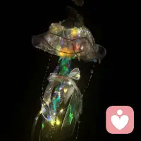 去年手工制作的水母灯，晚上逛洛邑古城时不小心弄丢了，怀念的其实是和孩子一起做灯时的温馨，珍惜当下的美好生活。