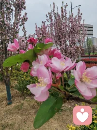 当好好爱一个人累的时候，其实是心在提醒你：
爱可以很用心，但别太用力。
 
你可以试着这样放过自己：
 
- 不用总把对方的情绪，扛成自己的责任
​
- 不用事事都做到满分，你也有疲惫和委屈的权利
​
- 不用靠“懂事”和“讨好”，去换一份关系
 
真正的爱，是两个人并肩走，
而不是你一个人撑着、追着、迁就着。
 
累了就停下来，
先抱抱那个一直很努力去爱的自己。
你值得被好好回应，而不是一直独自付出。配图