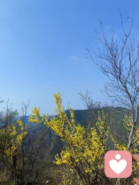 情绪无法表达，会让身体替你“说话”。
那些说不出口的委屈、压抑的愤怒、没流完的眼泪，最终都会变成：
 
- 莫名的疲惫、失眠、心慌
​
- 反复的头痛、肠胃不适
​
- 皮肤问题、免疫力下降
​
- 肌肉紧绷、肩颈酸痛
 
身体从不会说谎，你越压抑，它越会用不舒服提醒你：该看见自己的情绪了。