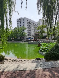 把細(xì)碎的煩惱關(guān)掉，晚安??配圖