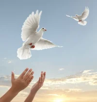 什么樣的人，是稀缺型，首先他應(yīng)該是情緒很穩(wěn)定的人