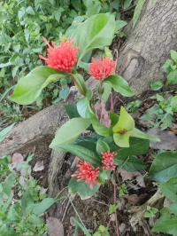 在人生中，人心浮躁，若要身心安穩，秘訣只有兩個字；寬與淡。不寬，不能化苦為甘；不淡，不能去躁得安。心中的寬容多一分，腳下的路便會闊一寸，寬容了別人，解脫了自己。配圖