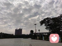 沒有愛的勇氣，喪失愛的能力，無法與女性建立更深的關系，無法擁有一段真正的長久的親密關系，內心是痛苦和煎熬。配圖