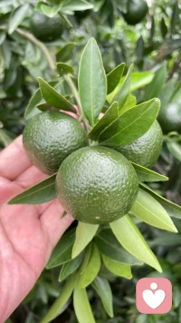 思慮過重，常常陷入自我懷疑；做什么都提不起興趣，只能由著情緒將自己拉進黑暗，這個時候是在內耗自己。配圖