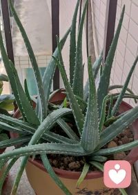 青少年心理健康關系到民族的未來，是“健康中國”建設的重要內容之一。近年來，國內調查也發現，大約每5個孩子中就有1個有抑郁傾向。孩子不是矯情，是真的需要幫助，幫助不是給孩子吃好喝好旅游好，吃喝玩樂不是幫助。幫助是科學地關注孩子背后的原因和未被滿足的心理需求。配圖