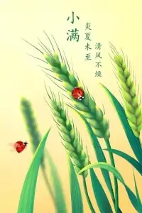 將滿未滿，人生可追，半熟未熟，歲月可待！配圖
