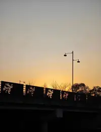 無論生活給予什么，我們都向陽而生，逐光而行。配圖
