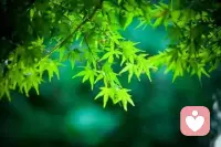所謂活得真實，就是真誠地回應當下的需求。這能打破從童年延續而來的因果循環，讓真實的自我擺脫過去經歷的束縛，在自由中成為真正的自己。配圖