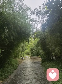 要接受現實，90%以上的人注定平凡，與其每天焦慮，倒不如做個健康的平凡人吧，父母盡可能成長，孩子順其自然。配圖