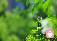 我認真做人，努力工作，為的就是當站在我愛的人身邊，不管他富甲一方，還是一無所有，我都可以張開雙手坦然擁抱他。他富有我不用覺得自己高攀，他貧窮我們也不至于落魄。配圖