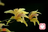 一個人要真正成長，需要經歷3次失望。第一次失望時逃避、害怕；第二次失望時，開始學著面對；第三次失望時，從中收獲成長。配圖