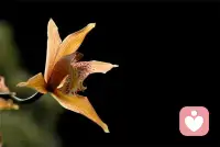 一個人要真正成長，需要經歷3次失望。第一次失望時逃避、害怕；第二次失望時，開始學著面對；第三次失望時，從中收獲成長。配圖