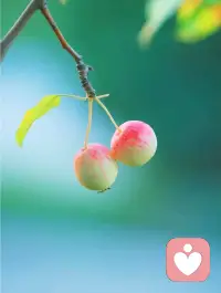 真正的愛，是發(fā)自內(nèi)心的自然流動，是不計(jì)回報的全然投入。當(dāng)我們真正喜歡一個人，真正喜歡做某件事情的時候，一定會愉快地享受這個過程，而不會有“我正在付出”的委屈和算計(jì)。一旦我們在關(guān)系里有了委屈和不平之氣，不妨問問自己：當(dāng)下正在做的事情，是我發(fā)自內(nèi)心的選擇嗎？如果不是發(fā)自內(nèi)心的選擇，我們需要問自己：我要活在為別人付出的自我感動的妄想里，還是活在聽從自己聲音的自由意志里？配圖