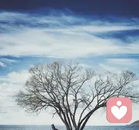 如果你被批評，請記住，那是因為批評你會給他一種重要感，也說明你是有成就，引人注意的，很多人憑借指責比自己更有成就的人得到滿足感。配圖