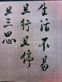 生活不易且行且停且三思！??！配圖