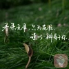 花木