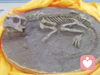 【歌3:5】耶路撒冷的眾女子啊，我指著羚羊或田野的母鹿囑咐你們，不要驚動、不要叫醒我所親愛的，等他自己情愿（“不要叫醒云云”或作“不要激動愛情，等他自發”）?！靖?:4】耶路撒冷的眾女子啊，我囑咐你們，不要驚動，不要叫醒我所親愛的，等他自己情愿（“不要叫醒云云”或作“不要激動愛情，等他自發”）。
【歌8:6】求你將我放在心上如印記，帶在你臂上如戳記；因為愛情如死之堅強，嫉恨如陰間之殘忍。所發的電光，是火焰的電光，是耶和華的烈焰。
【歌8:7】愛情，眾水不能熄滅，大水也不能淹沒，若有人拿家中所有的財寶要換愛情，就全被藐視。配圖