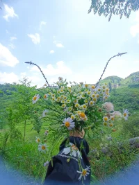 如果我們都是孩子,就可以留在時(shí)光的原地,坐在一起一邊聽那些永不老去的故事一邊慢慢皓首。人們，而更容易關(guān)注自己沒有的東西，更加遺憾自己曾經(jīng)有過，但是失去了的東西。因此，一切失去了的東西，才會(huì)被重新評(píng)估其價(jià)值。童年回憶也是如此，我們已經(jīng)在時(shí)間維度上失去了它，但是卻更愿意在空間維度重新體驗(yàn)它。所以才會(huì)有“時(shí)光小屋”的存在價(jià)值。配圖