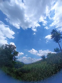 如果我們都是孩子,就可以留在時(shí)光的原地,坐在一起一邊聽那些永不老去的故事一邊慢慢皓首。人們，而更容易關(guān)注自己沒有的東西，更加遺憾自己曾經(jīng)有過，但是失去了的東西。因此，一切失去了的東西，才會(huì)被重新評(píng)估其價(jià)值。童年回憶也是如此，我們已經(jīng)在時(shí)間維度上失去了它，但是卻更愿意在空間維度重新體驗(yàn)它。所以才會(huì)有“時(shí)光小屋”的存在價(jià)值。配圖