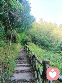 節日之心理學說每一個節日都是情感的歷史再現，從這個角度來說，我們生活中的很多節日，都可以成為我們思考生命、認識自我、與先輩和群體聯結的機會。我們可以在七夕節去理解愛與分離，在中秋節感受圓滿與缺損，在重陽節思考生與死，在除夕和春節學會告別和啟程。每一個節日都藏著我們最深沉和真摯的集體情感，我們需要與我們的家人，一起去感受節日背后那最彌足珍貴的生命意義！配圖