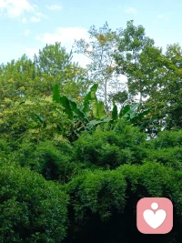 節日之心理學說每一個節日都是情感的歷史再現，從這個角度來說，我們生活中的很多節日，都可以成為我們思考生命、認識自我、與先輩和群體聯結的機會。我們可以在七夕節去理解愛與分離，在中秋節感受圓滿與缺損，在重陽節思考生與死，在除夕和春節學會告別和啟程。每一個節日都藏著我們最深沉和真摯的集體情感，我們需要與我們的家人，一起去感受節日背后那最彌足珍貴的生命意義！配圖
