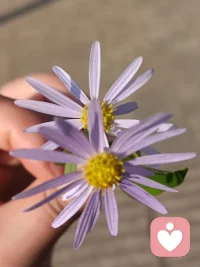 時過三月，正式回歸。自愈與愈益，撥開云霧見朗朗晴天，希望能在這條路上越走越遠……配圖