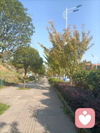 時過三月，正式回歸。自愈與愈益，撥開云霧見朗朗晴天，希望能在這條路上越走越遠……配圖