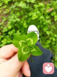 M.ScottPeck在?TheRoadLessTraveled?一書中說，“愛是一個決定”。我們總把愛情看作是彩票頭獎，但或許愛情更像是一場創業，需要雙方前期的大量準備和持續不斷地用心經營。浪漫不僅僅是一場命中注定的相遇，也是在一段感情中犧牲付出、與另一個人共患難、一起創造幸福的覺悟和努力。在相處一段時間之后，能夠帶給我們“對的感覺”的原因，恰恰是這個人為這段關系的付出和用心，對愛情中的雙方而言都是。配圖