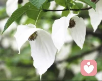 强化自我尊重力仅需三步01|识别自己的对话模式，并从“我”的角度来练习积极陈述 。02|学会更坚强、简洁地拒绝他人。如果你给了太具体的细节，对方可能利用你的解释追着你继续要求。做到语气坚定和少给解释，可以提高拒绝的成功率哦~03|每次说“不”以后，都给自己一些奖励。 培养积极自我对话的习惯，将消极的“我做不好”“我太糟糕了”通通消灭！ 给自己正向鼓励，不论是内心的积极自我对话、夸自己“做得好”，或是给自己物质奖励，都能帮助自己强化尊重自我的概念。配图