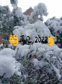 朝暮與歲月并往，愿我們一同從新年的天光乍破，走到冬日的暮雪白頭。新年快樂(lè)！配圖