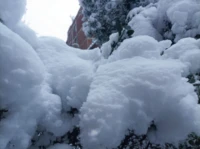 朝暮與歲月并往，愿我們一同從新年的天光乍破，走到冬日的暮雪白頭。新年快樂(lè)！配圖