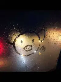 五月的雨，涼意深深，深幾許？前行的帆，揚(yáng)起，又指往何方？配圖